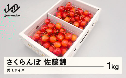 先行予約 さくらんぼ 佐藤錦 秀品 500g×2パック L玉 2025年産 令和7年産 山形県産 mm-snpsx1000