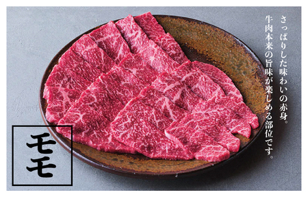 つべつ和牛 モモ焼肉 日山の焼肉だれ付き 500g | 牛 肉 黒毛 和牛 赤身 モモ モモ肉 腿肉 モモ焼肉 焼肉 焼き肉 たれ付き 高級牛肉 BBQ アウトドア キャンプ 北海道 津別町 送料無料