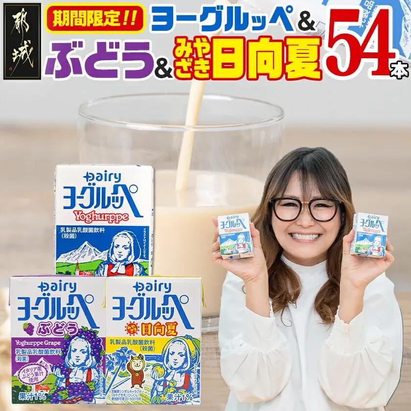 ◆期間限定◆ヨーグルッペプレーン&ぶどう&みやざき日向夏54本セット〔14-2305〕_(都城市) 乳酸菌飲料 ヨーグルッペプレーン ヨーグルッペみやざき日向夏 ヨーグルッペぶどう