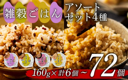 雑穀ごはん アソートセット 4種 160g×72個 十六雑穀 発芽玄米 金のいぶき玄米 もち麦 160g 4種×各18個 44000円 レンジ 健康 栄養 ブレンド ダイエット 美肌 生活習慣 国産 雑穀 簡単調理 無菌 パック