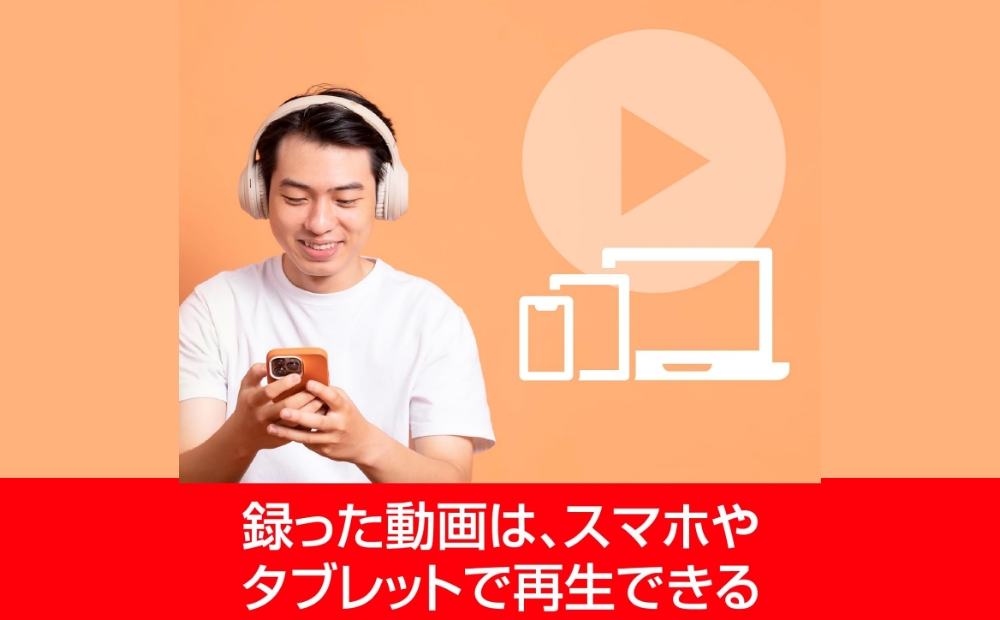 B's 動画レコーダー【166001】 ソフト 動画 パッケージ版 録画
