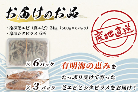 【ANA限定】冷凍芝エビ（真エビ）3kg（500g×6パック）＆有明海産 シタビラメ約150g×6尾【有明海の恵】簡単調理 セット