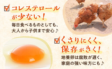 【黄身がつかめる最高級の卵】かきやまの「地養卵」 Lサイズ 40個＜垣山養鶏園＞ [CBB001]