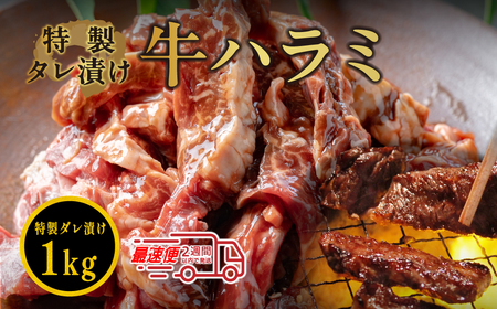自家製たれ漬ハラミ 1kg たれ漬け ハラミ肉 焼肉用 小分け 冷凍 ギフト  大容量 おいしいハラミ グルメハラミ やっぱりハラミ ハラミ MSK015