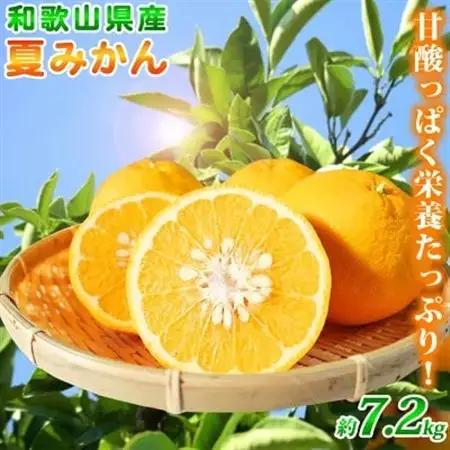 【2027年4月中旬より発送】夏みかん7.2kg【日高町】【1216956】
