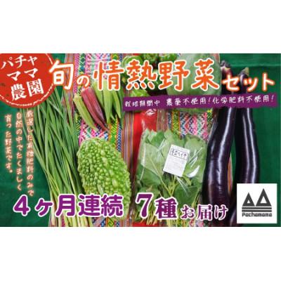 ふるさと納税 下妻市 【毎月定期便】農園自慢の情熱野菜セット7品(種類おまかせ)全4回