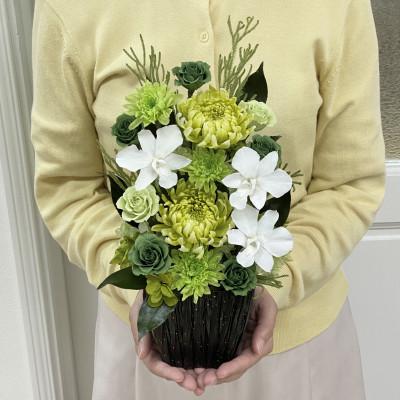 ふるさと納税 春日部市 プリザーブドフラワーアレンジ【天寧(あまね)/緑】春日部市 シュガーパイン |  | 03