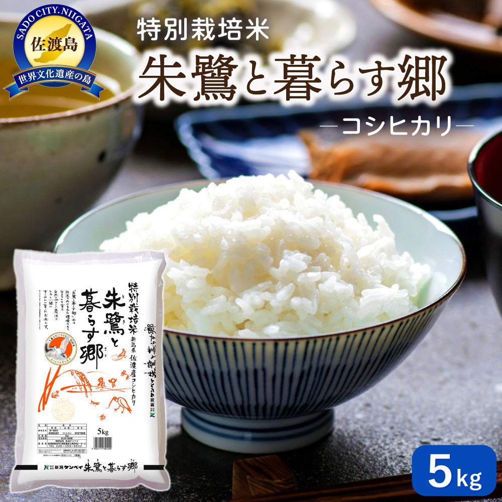 佐渡産コシヒカリ 朱鷺と暮らす郷（5kg）