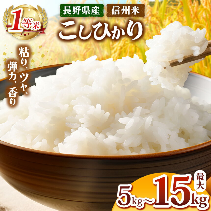 【ふるさと納税】 令和7年産 新米 信州米 こしひかり 白米 5kg～15kg 長野県産 | 米 コシヒカリ 白米 精米 お米 おこめ 信州米 5kg 10kg 15kg 特産品 塩尻市 長野県 信州