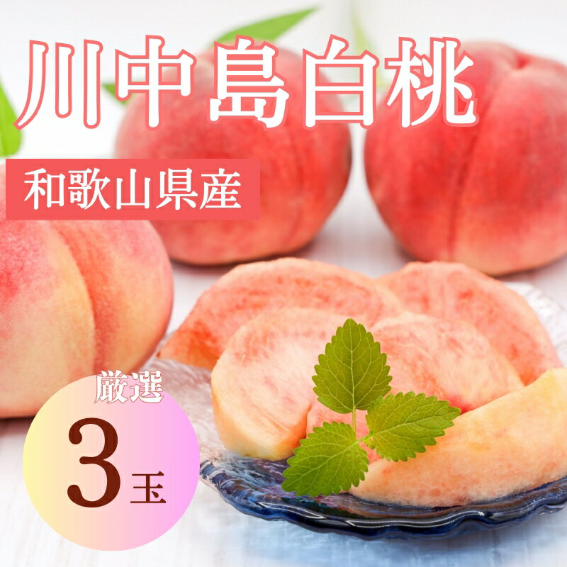 【ふるさと納税】【秀品】川中島白桃 食べきりやすい3個入り 【2025年7月末頃から順次発送】こだわり 農家厳選 先行予約 モモ 【KG16】 | もも フルーツ 果物 くだもの 食品 人気 おすすめ 送料無料