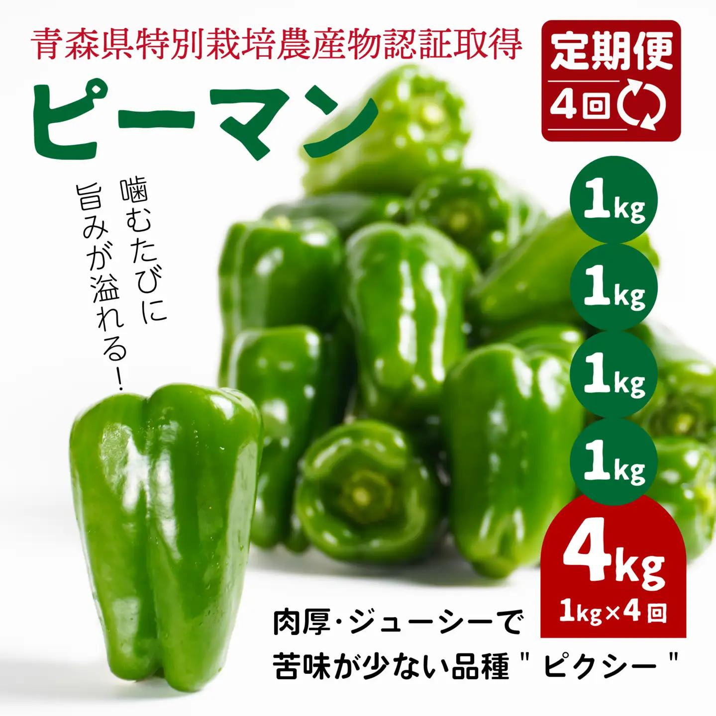 【4回定期便】 【青森県特別栽培】ピーマン 1kg ピクシー　