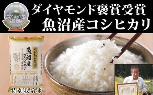米 5kg 令和7年産 新米 最高級 魚沼産 コシヒカリ 特別栽培米 ダイヤモンド褒賞受賞 | こしひかり お米 おこめ こめ コメ 白米 精米 ご飯 ごはん おすすめ 人気 新潟県 津南町