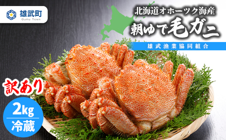 【期間限定5/10まで】北海道オホーツク海産 訳あり　朝ゆで毛ガニ　2kg（冷蔵）【07122】