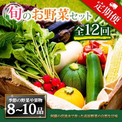ふるさと納税 阿蘇市 【毎月定期便】季節のお野菜セットLサイズ 旬のお野菜を厳選してお届け全12回