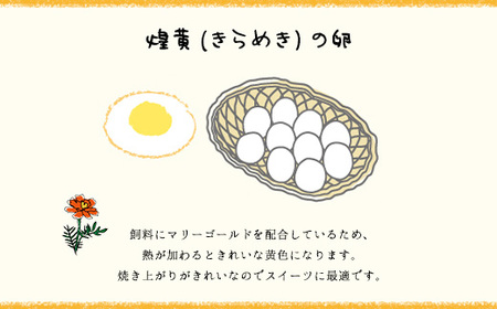 6ヶ月定期便 たまごやとよまる 煌黄20個 SMAS005 千葉県 山武市 卵 たまご タマゴ