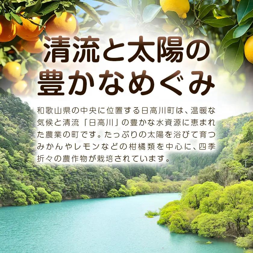 超訳ありレモン 約5kg レモン