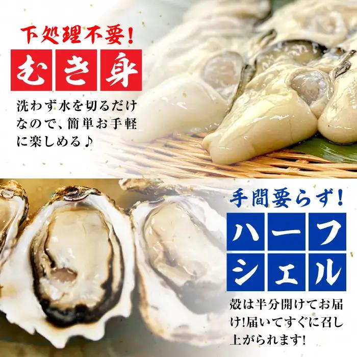 生牡蠣むき身400g・開殻6個 牡蠣[XBP014]