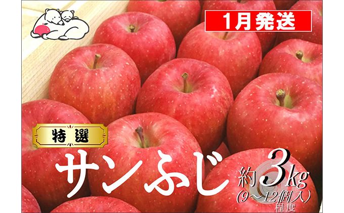 【1月発送】白熊 特選 サンふじ 絆 約3kg 糖度13度【青森りんご 果物 フルーツ 食後 デザート シャキシャキ ジューシー りんごの王様 】