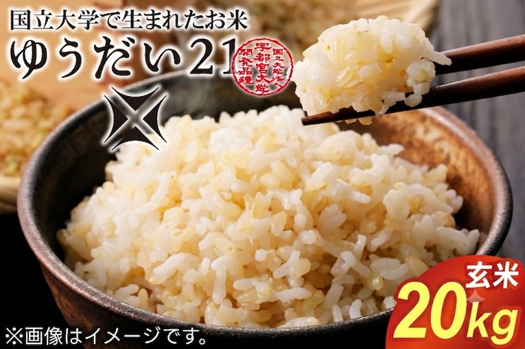 
                  梨屋さんが本気で作ったこだわりのお米　ゆうだい21玄米20kg｜栃木県 益子町 ふるさと納税 お米 米 20kg 玄米（DQ008-2）
                