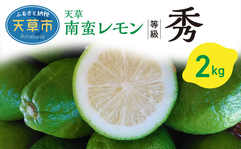 
S131-002_天草南蛮レモン　等級「秀」2kg
