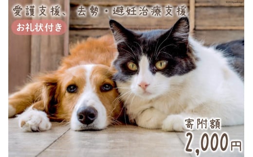 愛護支援、去勢・避妊治療支援 2000円 [Animal Care Salvation 福岡県 筑紫野市 21760765] 動物 ペット 愛護 TNR 保護 動物福祉 保護施設 里親 犬 猫 イヌ ネコ 動物愛護