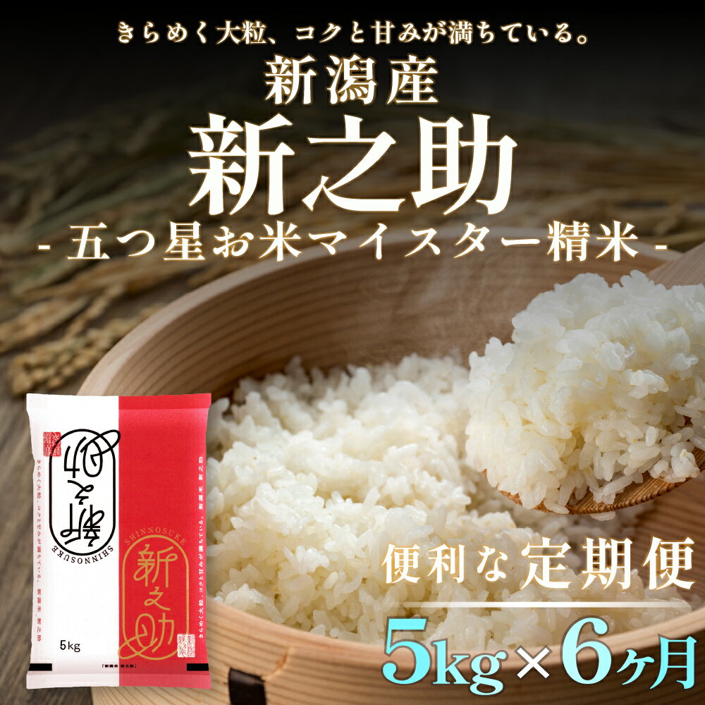 【ふるさと納税】【定期便】新潟産 新之助 5kg×6回（6ヶ月）