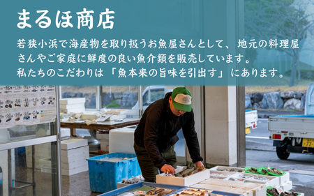 【定期便】干物詰合せ（春夏秋冬） 全4回 若狭の味   / 小浜市 / まるほ商店 [BFCS008] 【配送不可地域：離島】 