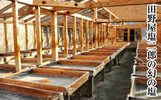 【四国一小さなまち】田野屋塩二郎の塩ごはーん　4袋セット（無洗米）