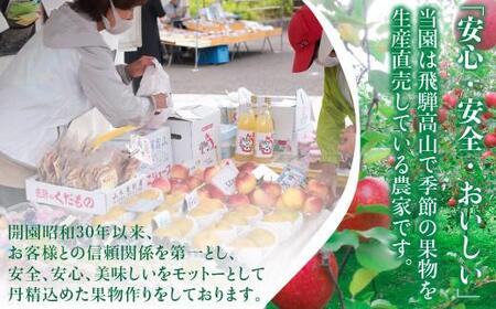 【先行予約 9月中旬～11月中旬発送】 季節の大粒種無しぶどう 詰め合わせ 約1.2kg（2房～3房）| ぶどう MA001