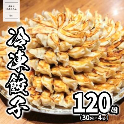 ふるさと納税 境町 【茨城共通返礼品】〈2026年8月発送〉 ローズポーク使用 道の駅さかい 特製 冷凍餃子 120個