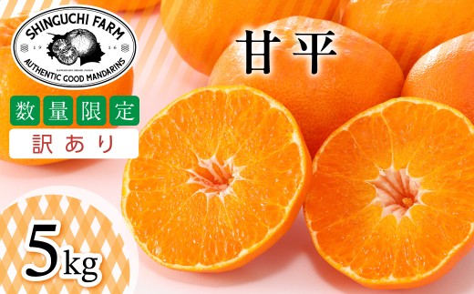 【先行受付】2027年発送!＜訳あり＞甘平 5kg＜E70-166＞ みかん ミカン 柑橘 柑橘類 フルーツ 果物 くだもの 人気 美味しい 愛媛県 八幡浜 ふるさと【1710495】 YWTK165