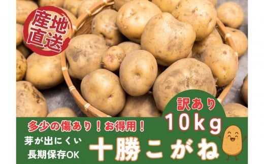 【訳あり★お買い得】万能じゃがいも10ｋｇ