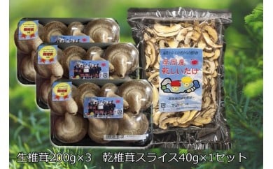 
143.摩周産　菌床生しいたけ・乾燥しいたけセット（生200ｇ×3パック、乾燥40ｇ×１袋）
