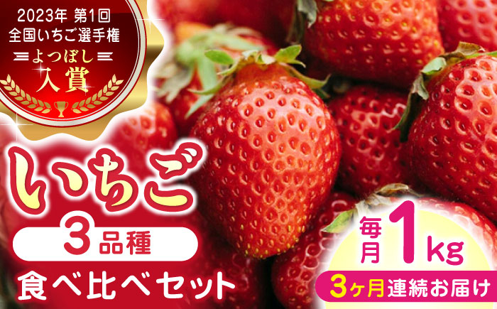 
【全3回定期便】いちご 食べ比べ セット 3品種 総計3.0kg ( 250g × 4P × 3回 ) 農園直送 産地直送 熊本県産 山都町産 イチゴ 苺 ストロベリー フルーツ 果物 【なかはた農園】[YBI003]
