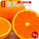 【ふるさと納税】【限定】 【先行予約】和歌山県有田産 清見オレンジ 5kg 秀品