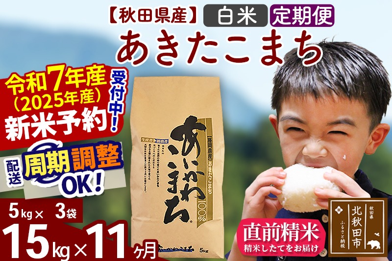 ※令和7年産 新米予約※《定期便11ヶ月》秋田県産 あきたこまち 15kg【白米】(5kg小分け袋) 2025年産 お届け周期調整可能 隔月に調整OK お米 藤岡農産|foap-10711