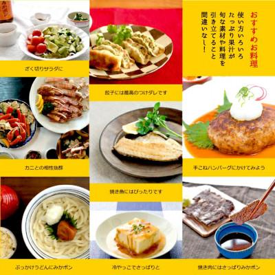 ふるさと納税 有田市 【早和果樹園】みかポン360ml×6本入 |  | 03