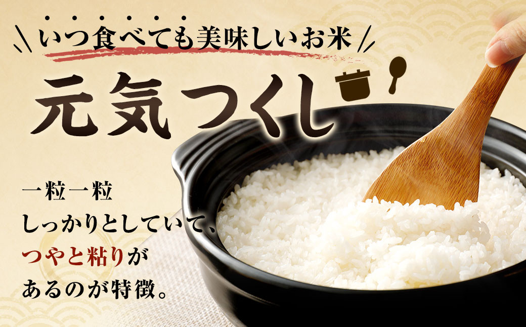 元気つくし 15kg 米 福岡 お米 こめ コメ 国産 九州