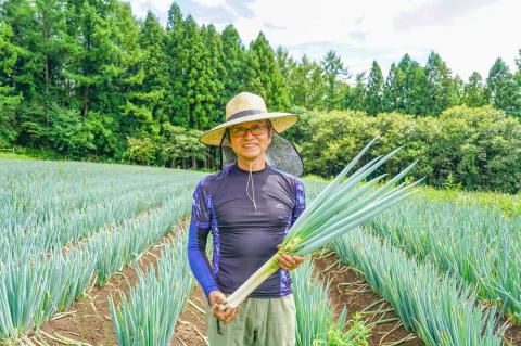 産地直送 新鮮 野菜 信州 盛りだくさん 野菜セット 長野市開発公社 沖縄県への配送不可 2023年4月上旬頃から2023年12月下旬頃まで順次発送予定 長野県 飯綱町 [1182]