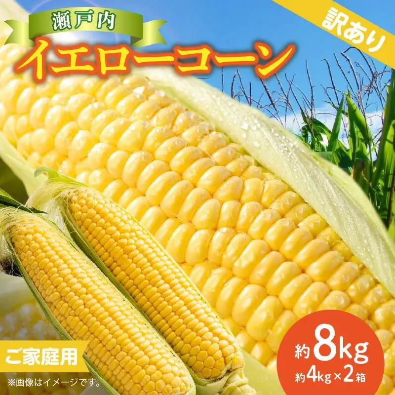 訳あり ご家庭用 瀬戸内イエローコーン 約8kg【2026-6月上旬～2026-7月中旬配送】| コーン