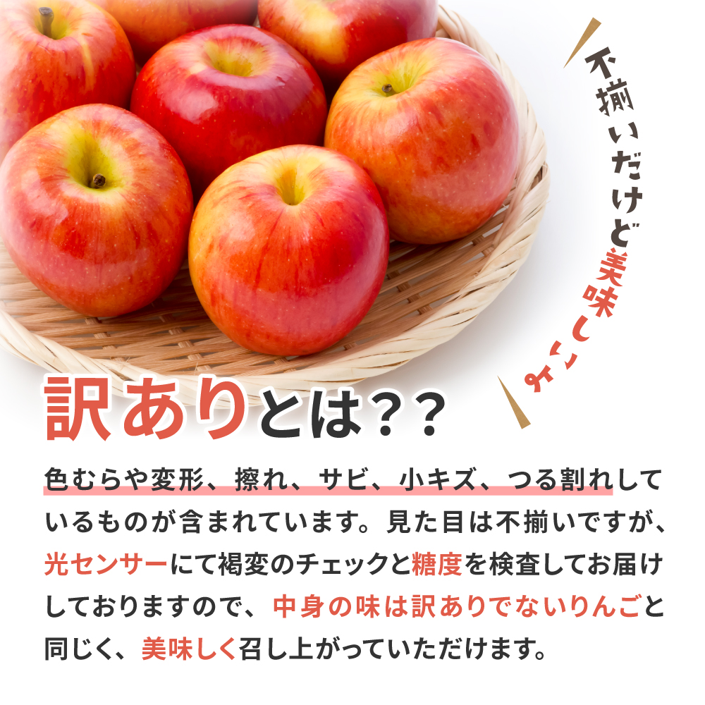 【2027年3月前半発送】 【訳あり】 りんご 約5kg 品種おまかせ1種 青森産