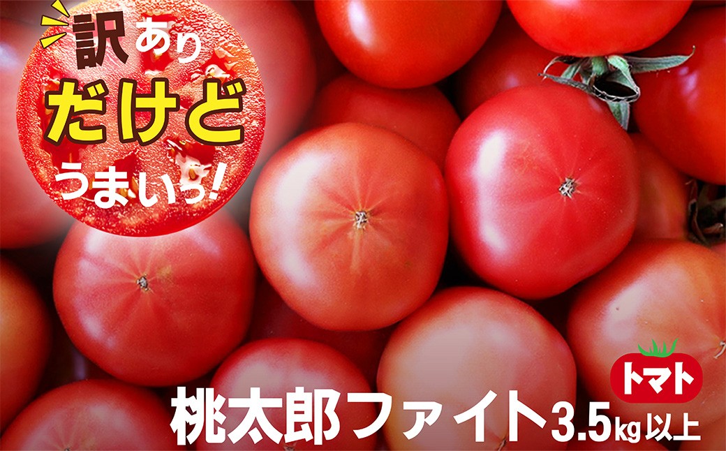 先行予約　高糖度　ももたろうトマト（春夏発送）　訳あり　3.5キロ以上　不揃い　NG00002