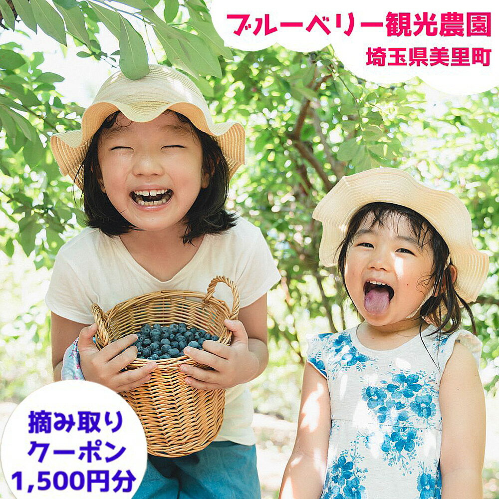 【ふるさと納税】ブルーベリー摘み取りクーポン（1500円相当分） ／ ブルーベリー 摘み取り 体験 クーポン 果物狩り 夏休み おでかけ 日帰り レジャー 観光農園 完熟 旬 フルーツ 自然体験 ちょい旅 送料無料 埼玉県 No.240