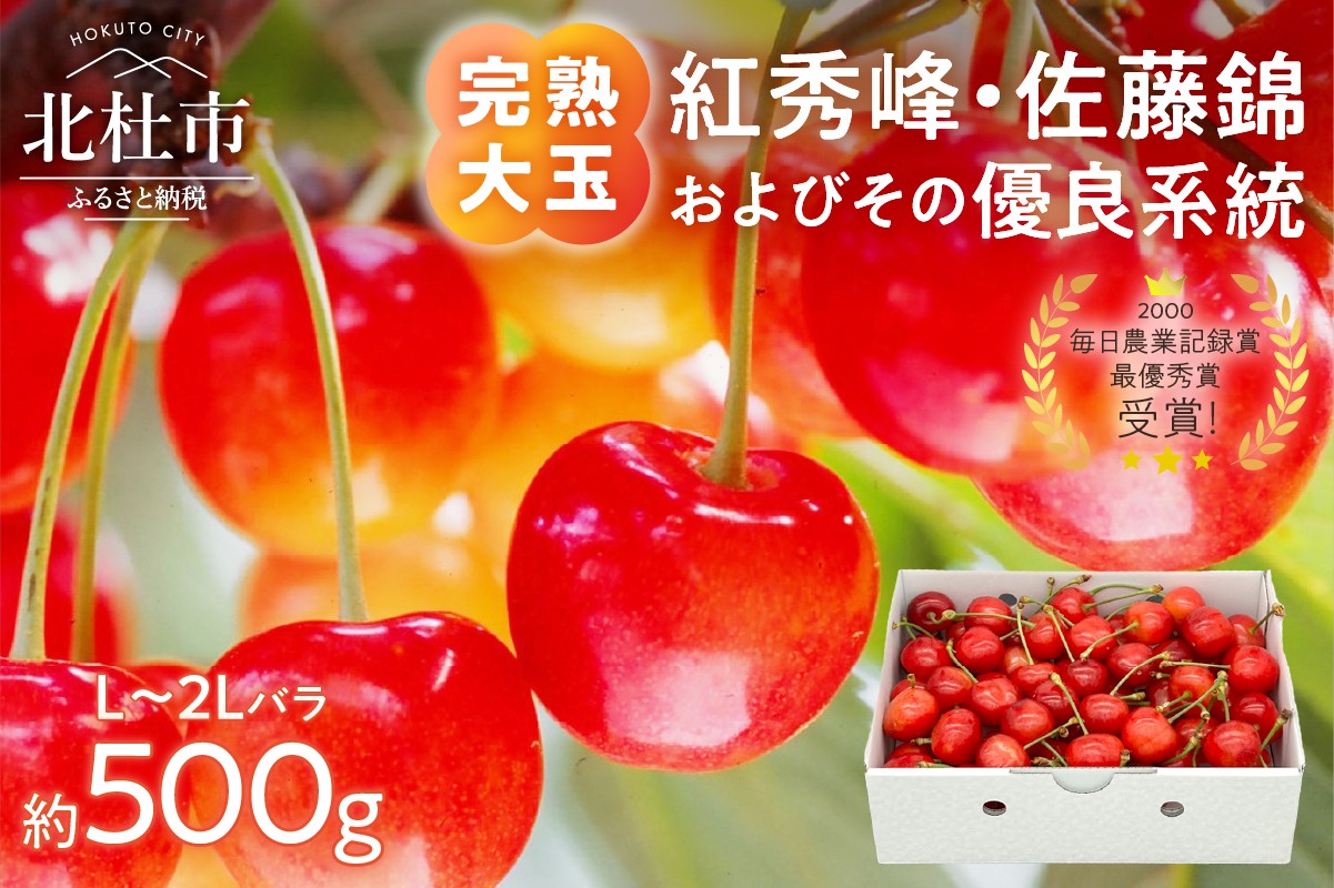 
                  【2027年先行予約】完熟大玉・さくらんぼ（L～2Lバラ約500g）　佐藤錦 紅秀峰 サクランボ チェリー 果物 産地直送 冷蔵 フルーツ 岩原果樹園
                