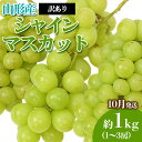 【ふるさと納税】[訳あり]やまがたのぶどう シャインマスカット 10月 優品 約1kg(1～3房程度) 【令和6年産先行予約】FS23-819 1万円 1万 10000円 山形 山形県 山形市 フルーツ 果物 くだもの 送料無料 ぶどう 葡萄 ブドウ シャインマスカット