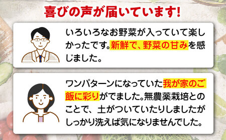 【全3回】【2ヶ月に1回】野菜定期便（旬野菜・根菜）/ヒロファミリーフーズ[AGBX041]定期便3回定期便3回定期便3回定期便3回