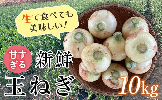 ＜2026年発送 先行予約＞甘すぎる新鮮玉ねぎ 10kg（2026年6月1日～6月25日頃出荷） 減農薬減 化学肥料 生食 たまねぎ 玉ねぎ タマネギ 野菜 食品 F21E-111