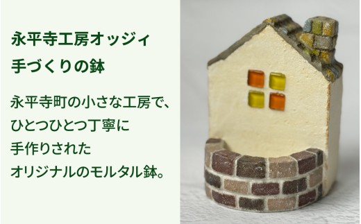 モルタル造形おうち鉢(小)と多肉植物の寄せ植え【期間限定】 | 苗 多肉 植物 季節 たにくしょくぶつ ショクブツ タニク 多種類 グリーン インテリア 自然 DIY セダム エケベリア 観葉植物 永
