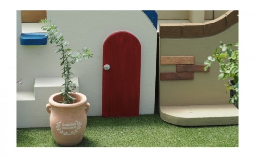 
                  苗木 ミモザアカシア 鉢植え つぼ小 植物 ガーデン インテリア ※配送不可:北海道、沖縄、離島
                