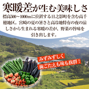 ＜数量限定・期間限定＞高千穂地区高冷地野菜詰め合わせ(5種) やさい きゅうり ピーマン トマト ミニトマト なす 茄子 冷蔵 季節 新鮮 旬 産地直送 【NK017】【宮崎県農業協同組合　高千穂地区